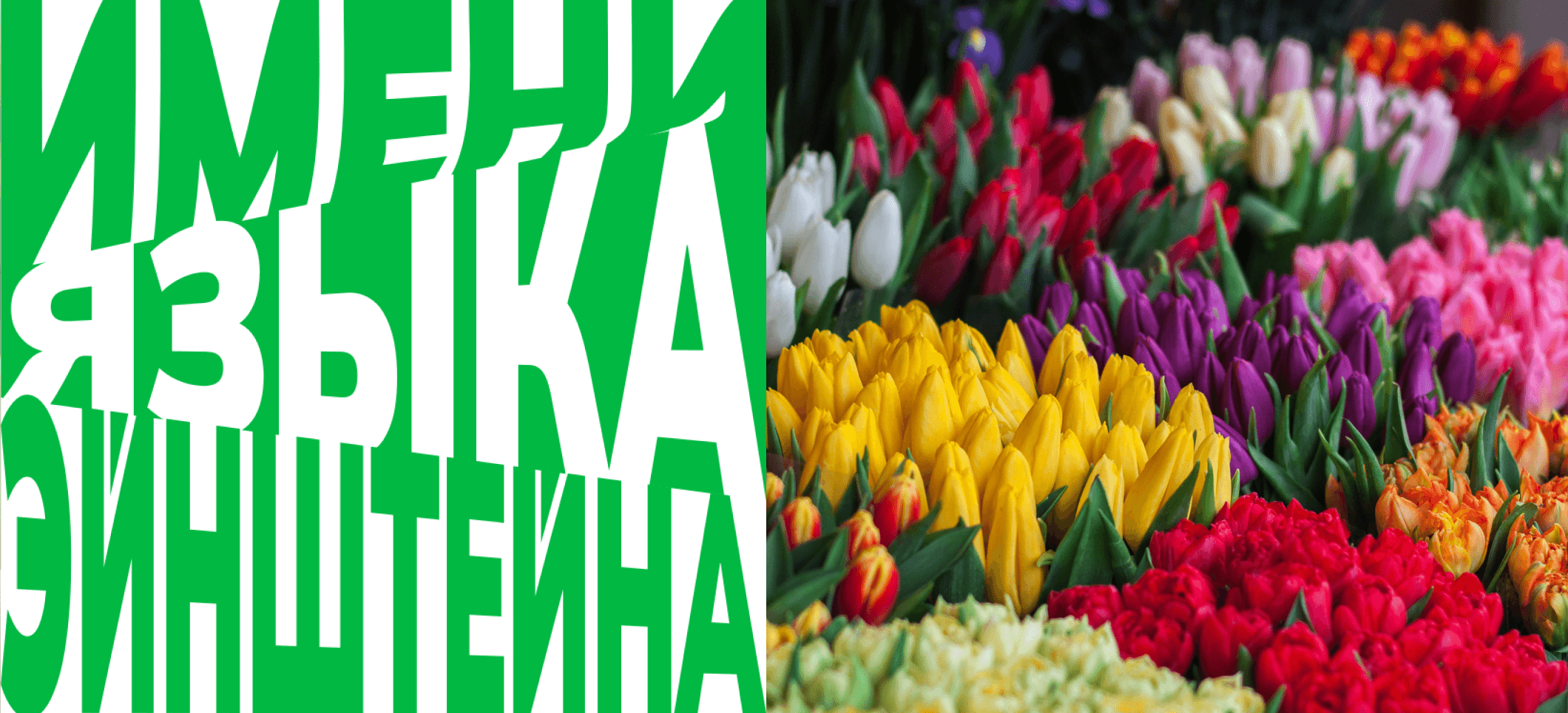 Обложка статьи