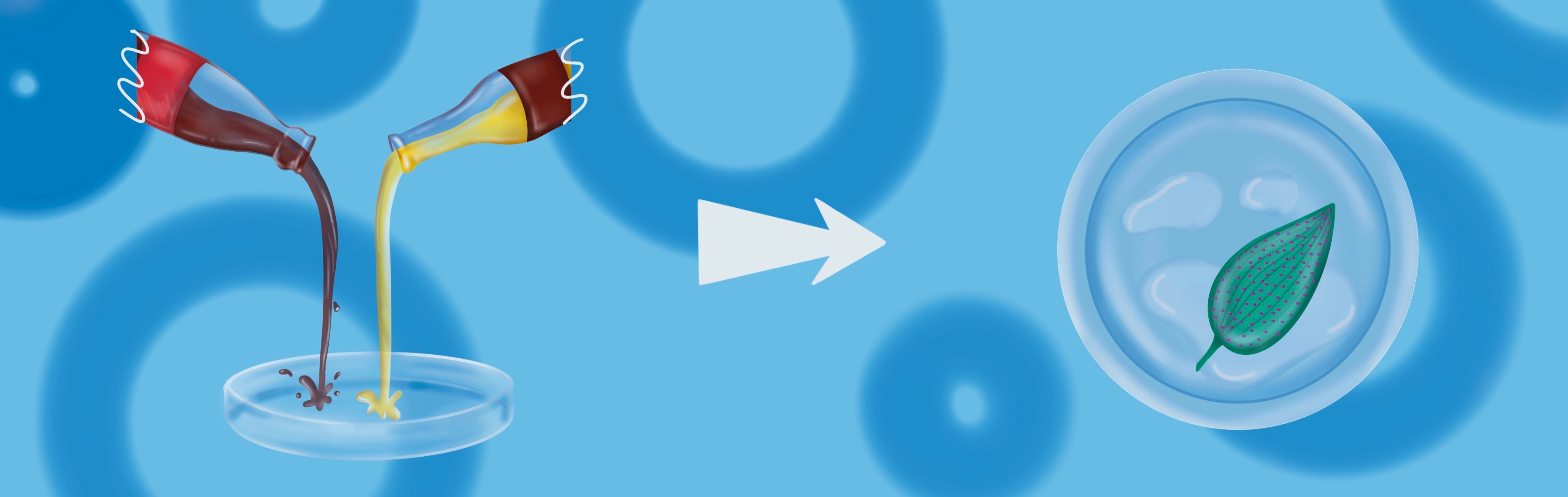 Обложка статьи