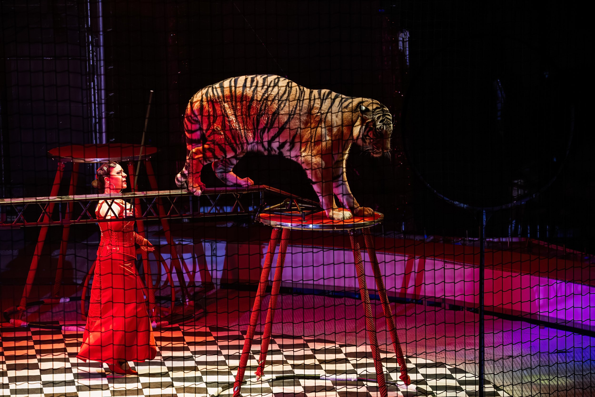 Обложка статьи