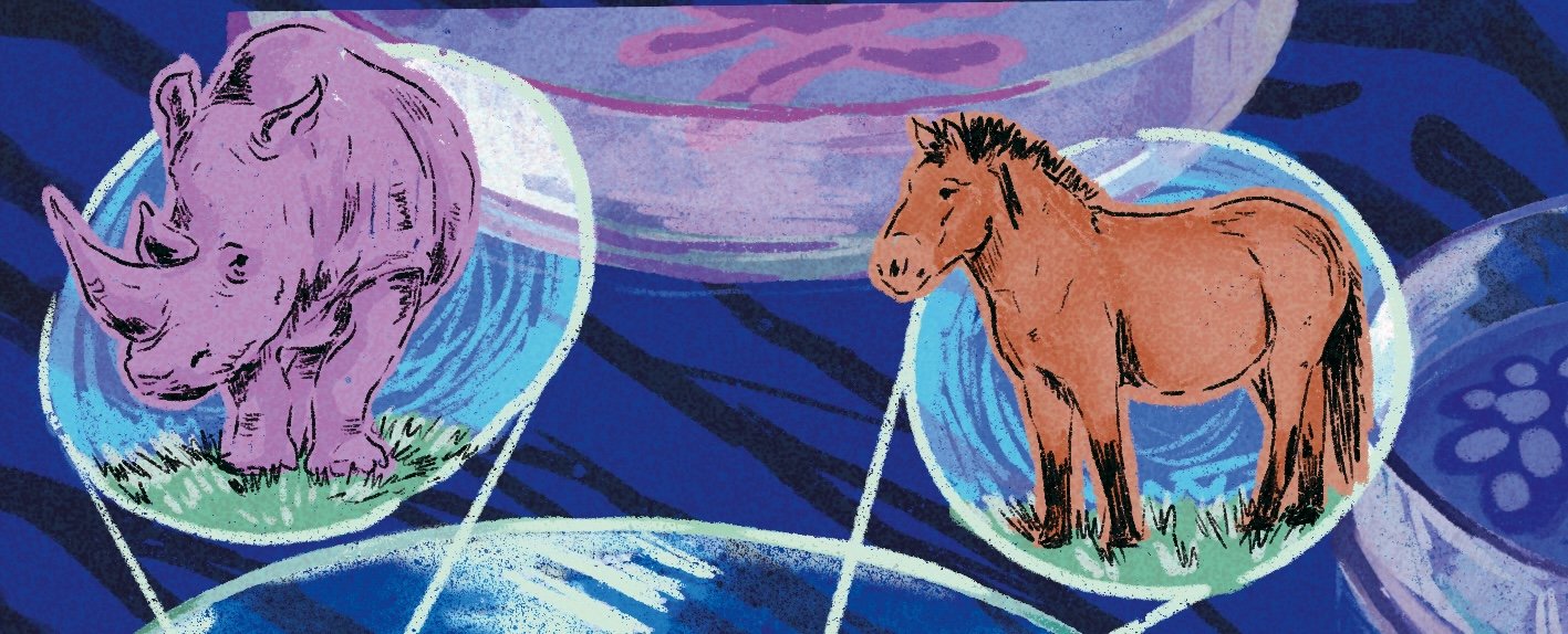 Обложка статьи