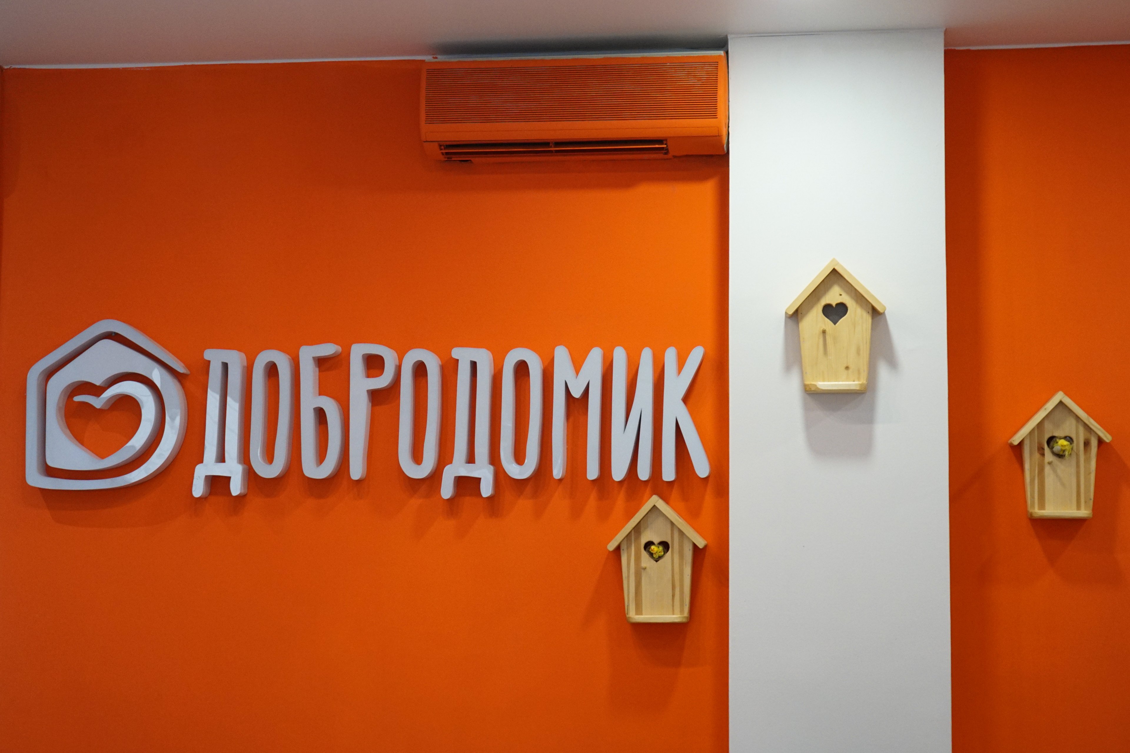 Обложка статьи