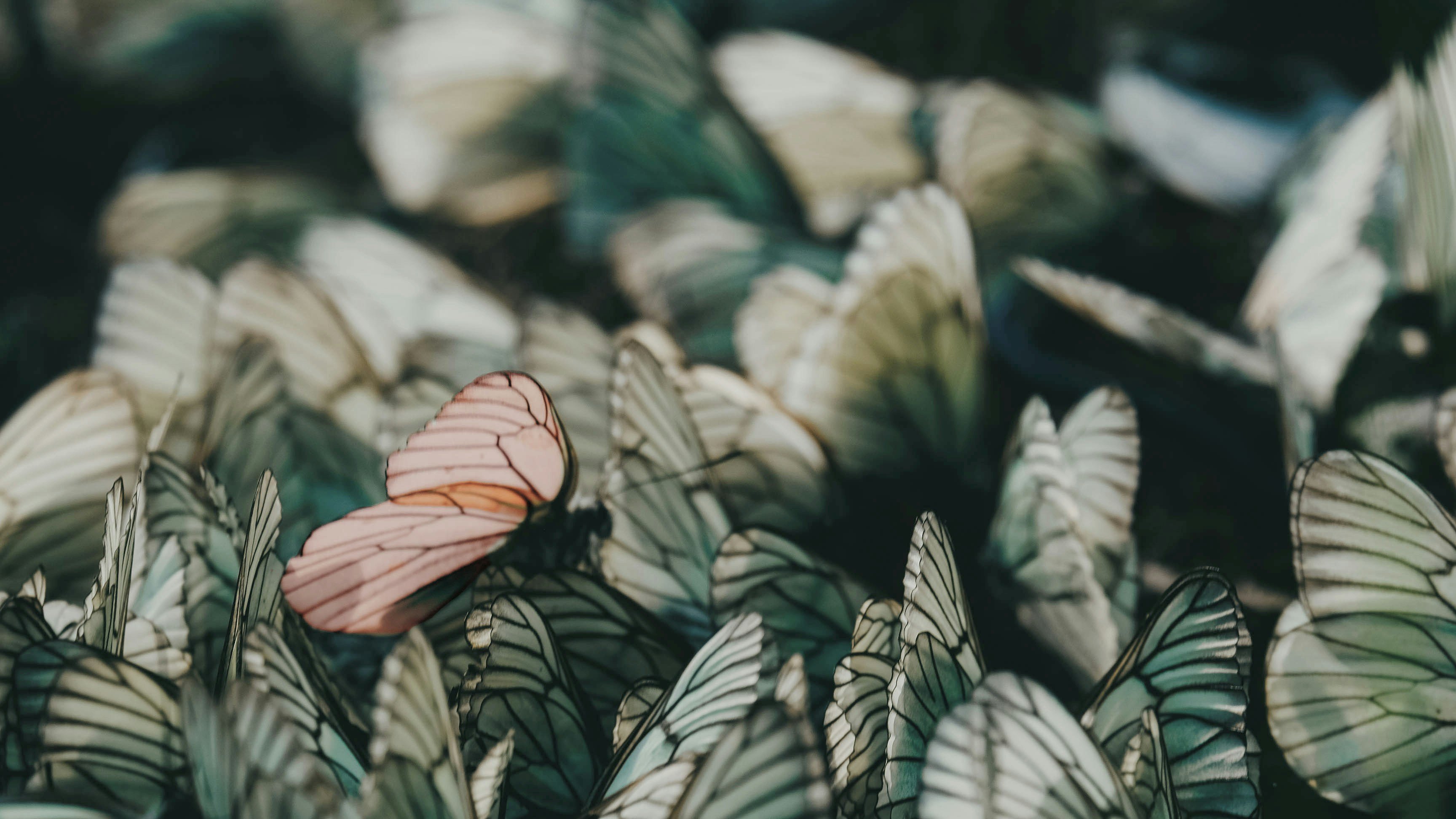 Обложка статьи