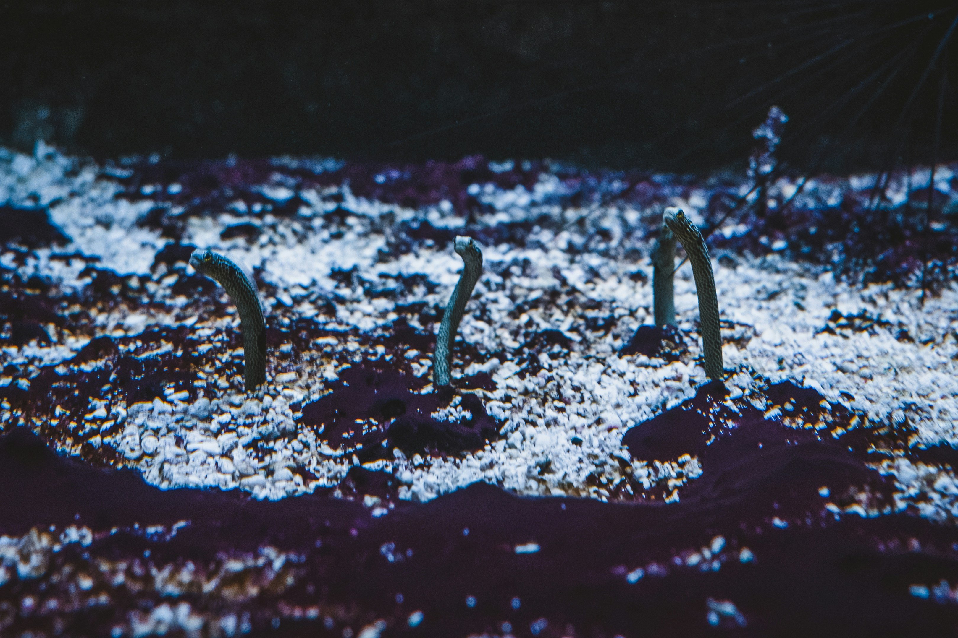 Обложка статьи