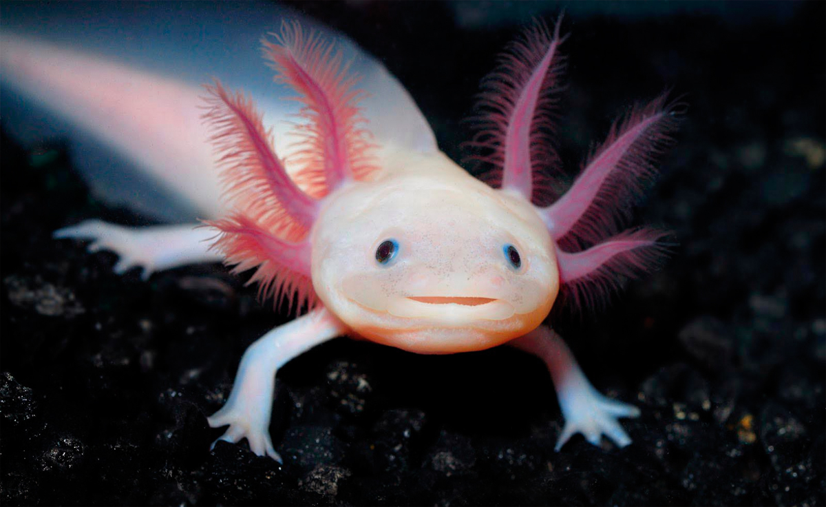 Фото: aquastatus.ru